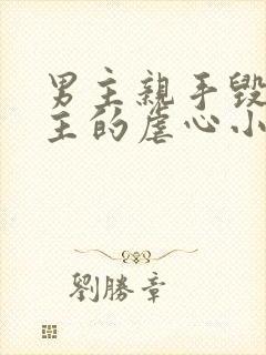 男主亲手毁了女主的虐心小说