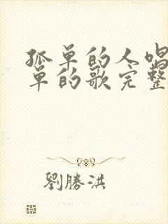 孤单的人唱着孤单的歌完整版