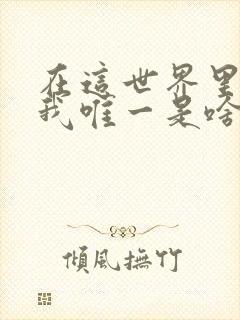 在这世界里你是我唯一是啥歌名