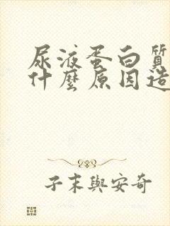 尿液蛋白质高是什么原因造成的