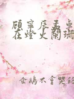 顾宁辰孟卓钰不在灯火阑珊处完整版