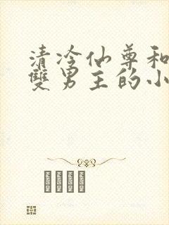 清冷仙尊和魔尊双男主的小说