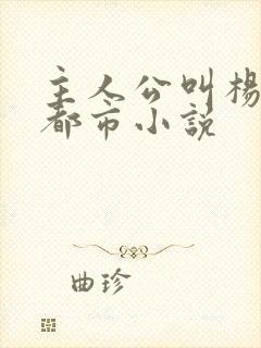 主人公叫杨凡的都市小说