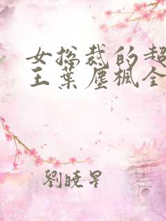 女总裁的超级兵王叶尘枫全文免费阅读