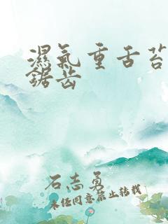 湿气重舌苔白有锯齿