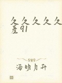 久久久久久久国产91