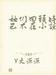 她们回头时我早已不在小说