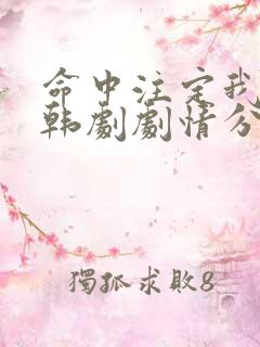 命中注定我爱你韩剧剧情分集介绍