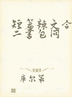 短篇辣文合集第二书包网