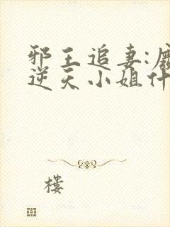 邪王追妻:废材逆天小姐什么时候开始写的