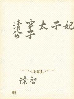 清穿太子妃 罗公子