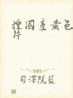 搜国产黄色一级片