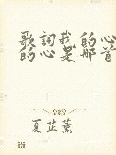 歌词我的心啊我的心是哪首歌