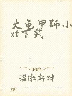 大龟甲师小说txt下载