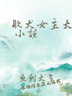 败犬女主太多了 小说