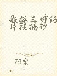 歌总三婶的精彩片段摘抄