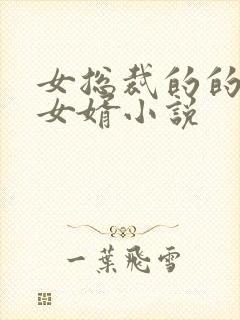 女总裁的的上门女婿小说