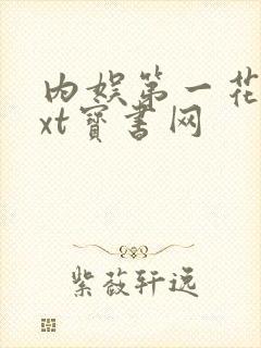内娱第一花瓶txt宝书网