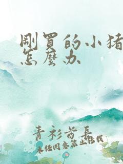 刚买的小猪拉稀怎么办