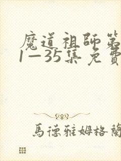 魔道祖师第一季1—35集免费