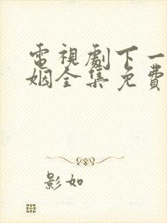 电视剧下一站婚姻全集免费播放