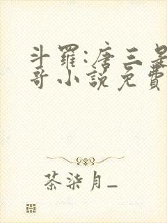 斗罗:唐三是我哥小说免费阅读