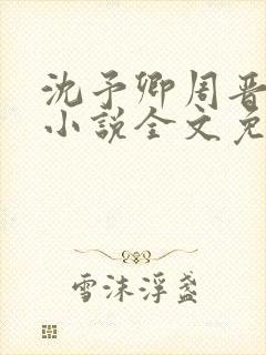 沈予卿周晋年的小说全文免费阅读