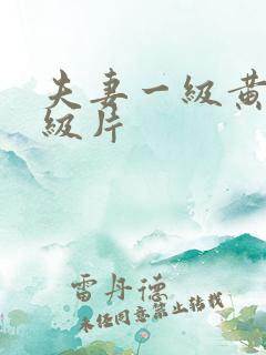 夫妻一级黄色一级片
