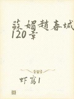 苏媚赵春城小说120章