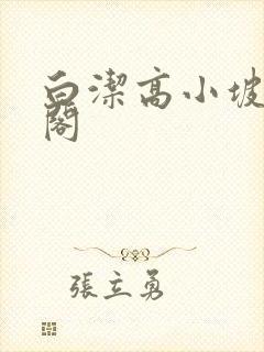 白洁高小坡笔趣阁