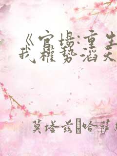 《官场:重生后我权势滔天》