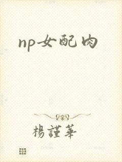 np女配肉