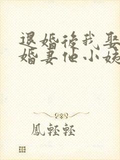 退婚后我娶了未婚妻他小姨