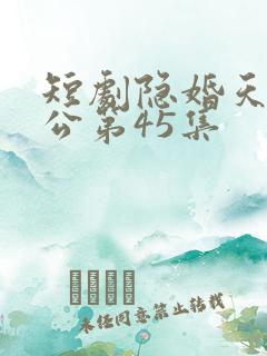 短剧隐婚天价老公第45集