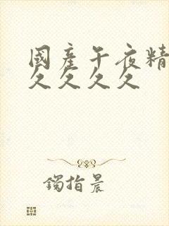 国产午夜精品久久久久久