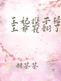 王妃携子归来,王爷宠翻了