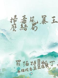 扫毒风暴王奇什么结局