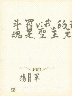 斗罗v:我的武魂是圣主免费全