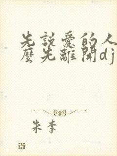 先说爱的人为什么先离开dj