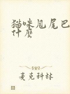 猫咪甩尾巴表示什么