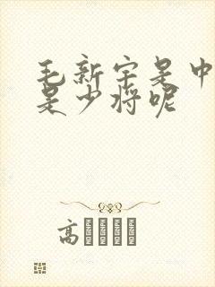 毛新宇是中将还是少将呢