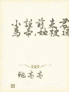 小说前夫君登基为帝,她被逼和离盛妩在线