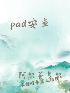 pad安卓
