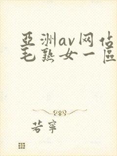 亚洲av网站浓毛熟女一区