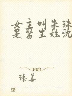 女主叫朱珠男主是医生姓沈的小说