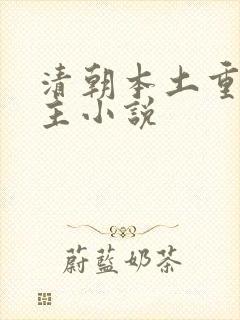 清朝本土重生女主小说