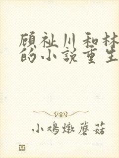 顾祉川和林甘棠的小说重生后我逃婚了