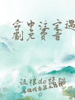 命中注定遇见短剧免费看