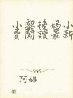 小黎后妈小说免费阅读最新章节更新