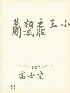 万相之王小说无删减版